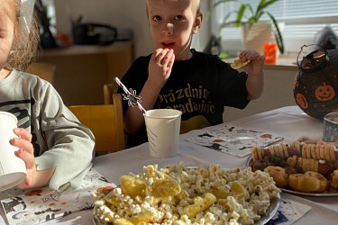 Obrázek č.47